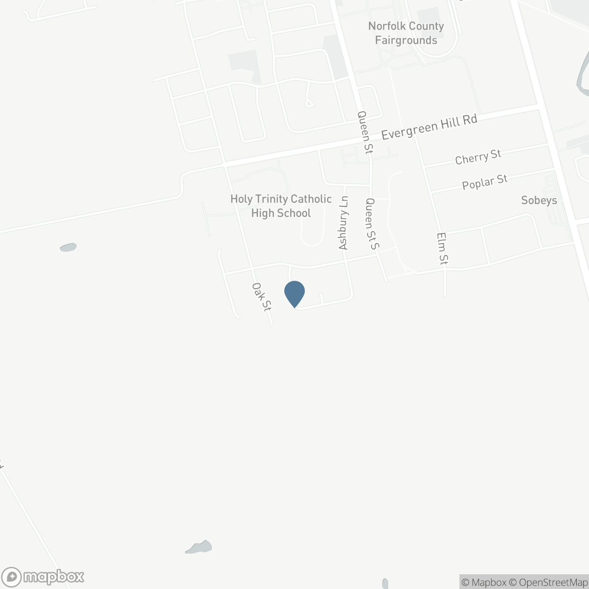 98 ALLANDALE Crescent, Simcoe, Ontario N3Y 0B4